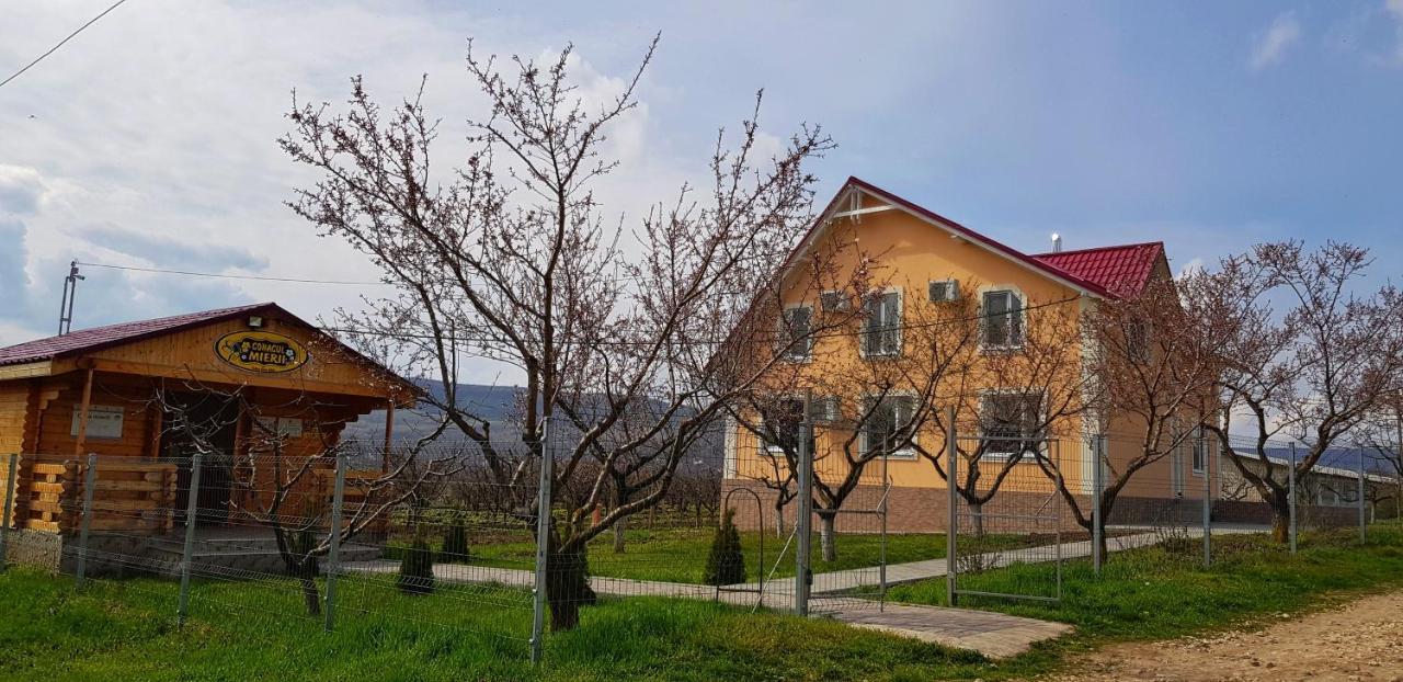 Villa Conacul Mierii Straseni Exterior foto