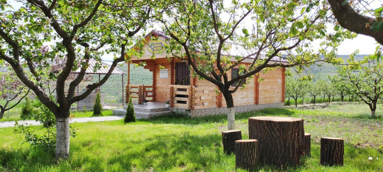 Villa Conacul Mierii Straseni Exterior foto